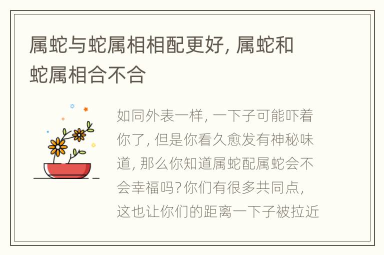 属蛇与蛇属相相配更好，属蛇和蛇属相合不合