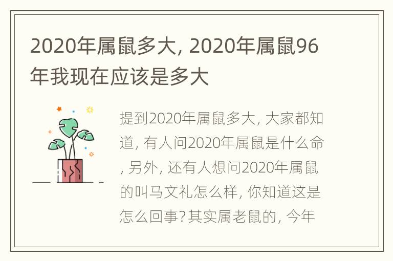 2020年属鼠多大，2020年属鼠96年我现在应该是多大