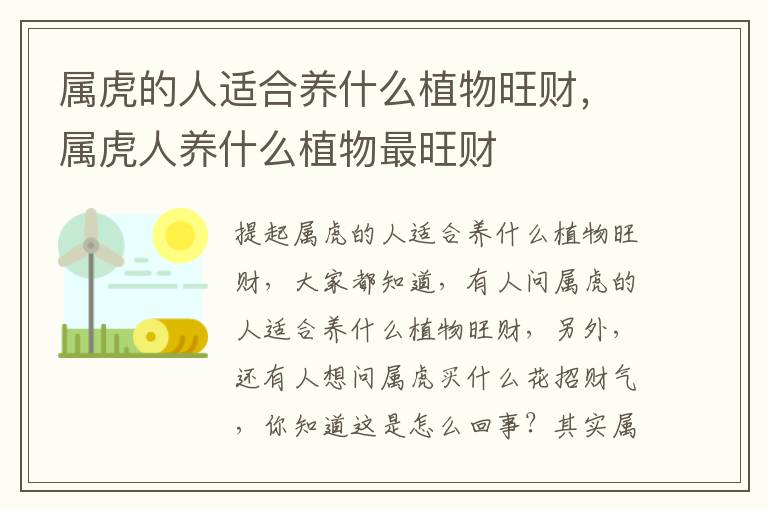 属虎的人适合养什么植物旺财，属虎人养什么植物最旺财