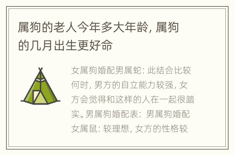 属狗的老人今年多大年龄，属狗的几月出生更好命