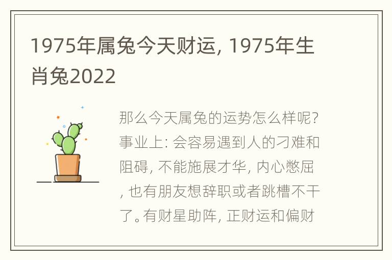 1975年属兔今天财运，1975年生肖兔2022