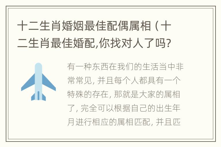 十二生肖婚姻最佳配偶属相（十二生肖最佳婚配,你找对人了吗?仅供参考哦）