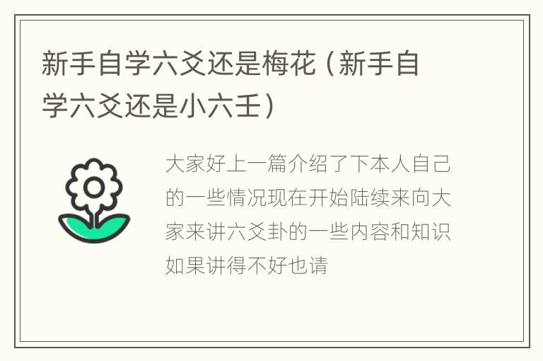 新手自学六爻还是梅花（新手自学六爻还是小六壬）