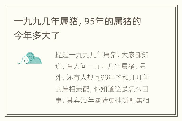 一九九几年属猪，95年的属猪的今年多大了