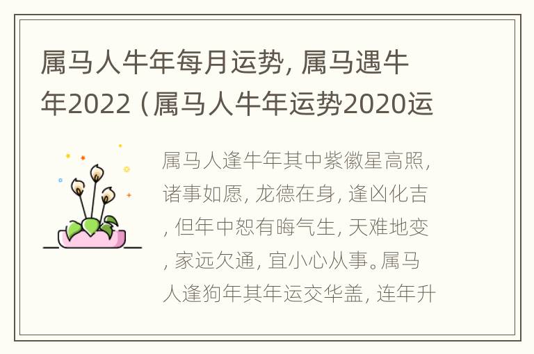 属马人牛年每月运势，属马遇牛年2022（属马人牛年运势2020运势详解）