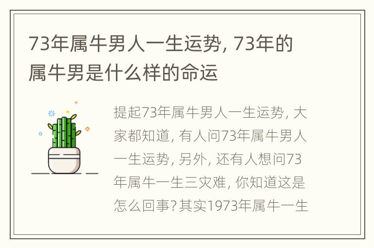 73年属牛男人一生运势，73年的属牛男是什么样的命运