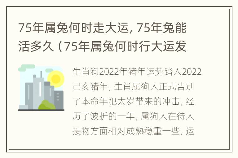 75年属兔何时走大运，75年兔能活多久（75年属兔何时行大运发大财）