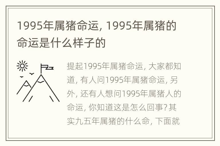 1995年属猪命运，1995年属猪的命运是什么样子的