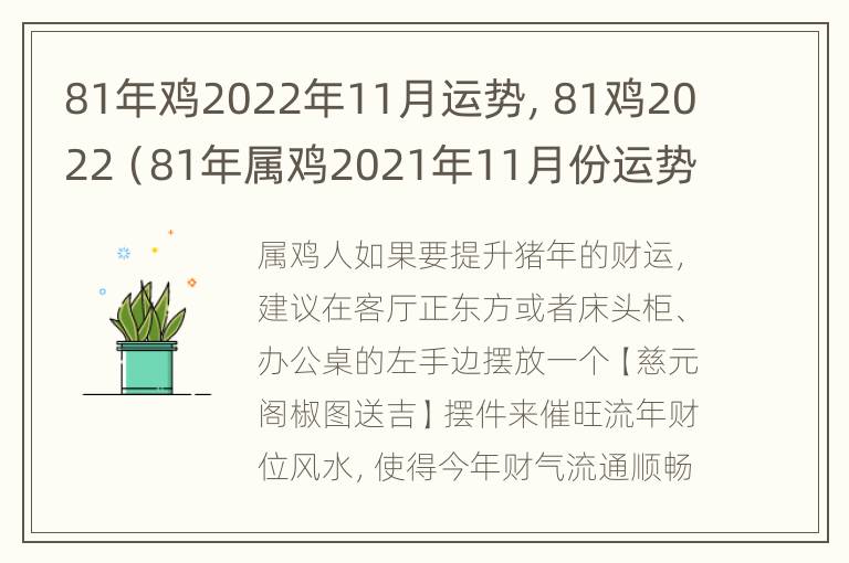 81年鸡2022年11月运势，81鸡2022（81年属鸡2021年11月份运势）