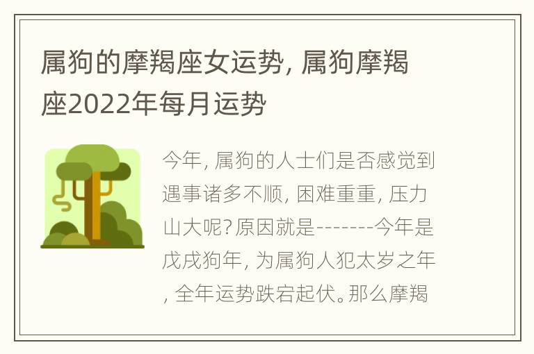 属狗的摩羯座女运势，属狗摩羯座2022年每月运势