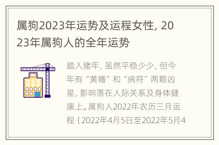 属狗2023年运势及运程女性，2023年属狗人的全年运势