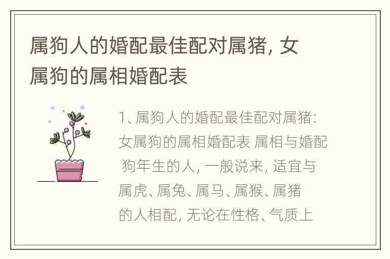 属狗人的婚配最佳配对属猪，女属狗的属相婚配表