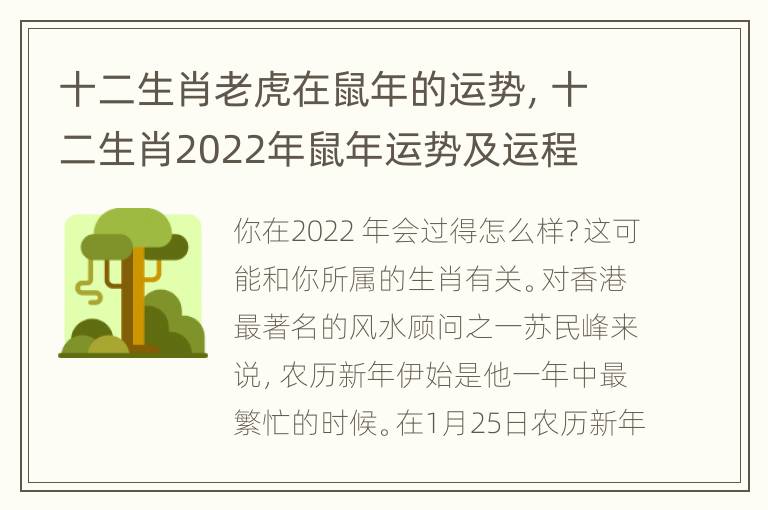 十二生肖老虎在鼠年的运势，十二生肖2022年鼠年运势及运程