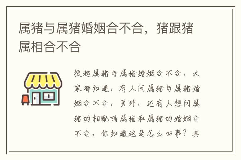 属猪与属猪婚姻合不合，猪跟猪属相合不合