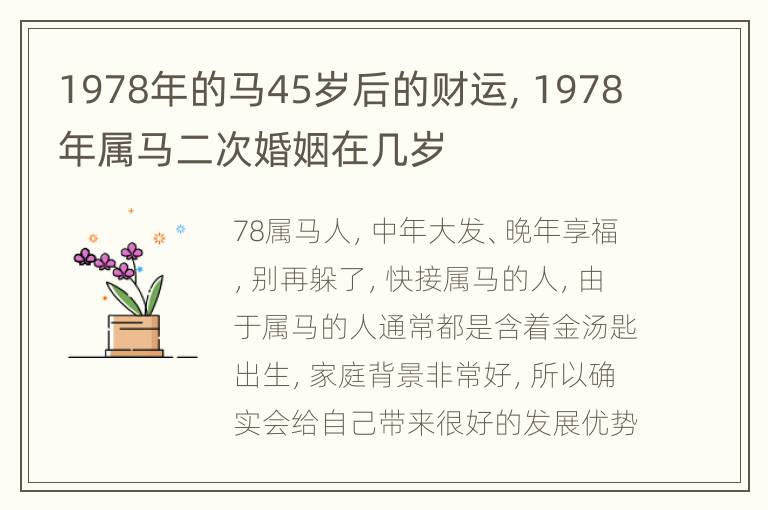 1978年的马45岁后的财运，1978年属马二次婚姻在几岁