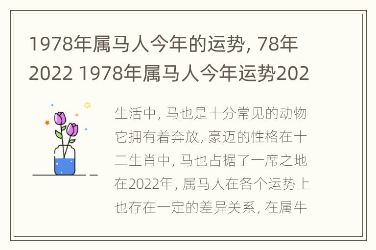 1978年属马人今年的运势，78年2022 1978年属马人今年运势2021年每月运势