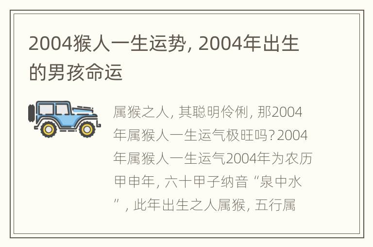 2004猴人一生运势，2004年出生的男孩命运