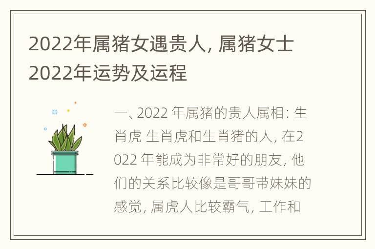 2022年属猪女遇贵人，属猪女士2022年运势及运程