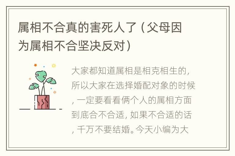 属相不合真的害死人了（父母因为属相不合坚决反对）