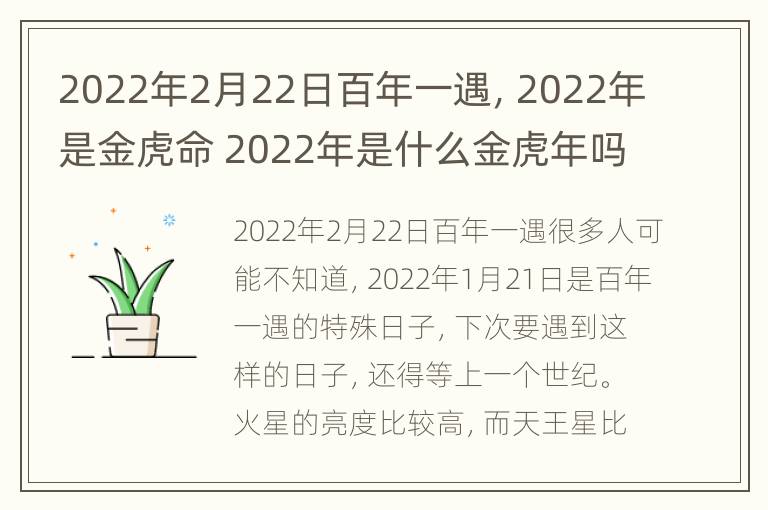 2022年2月22日百年一遇，2022年是金虎命 2022年是什么金虎年吗