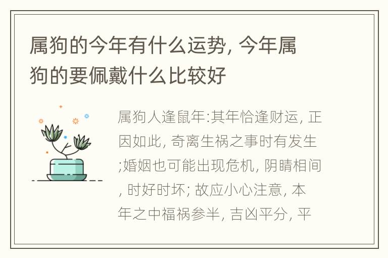 属狗的今年有什么运势，今年属狗的要佩戴什么比较好