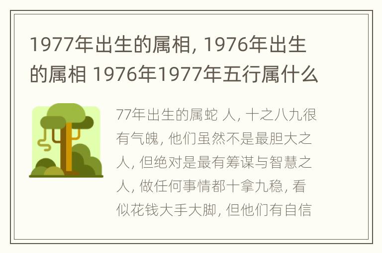 1977年出生的属相，1976年出生的属相 1976年1977年五行属什么