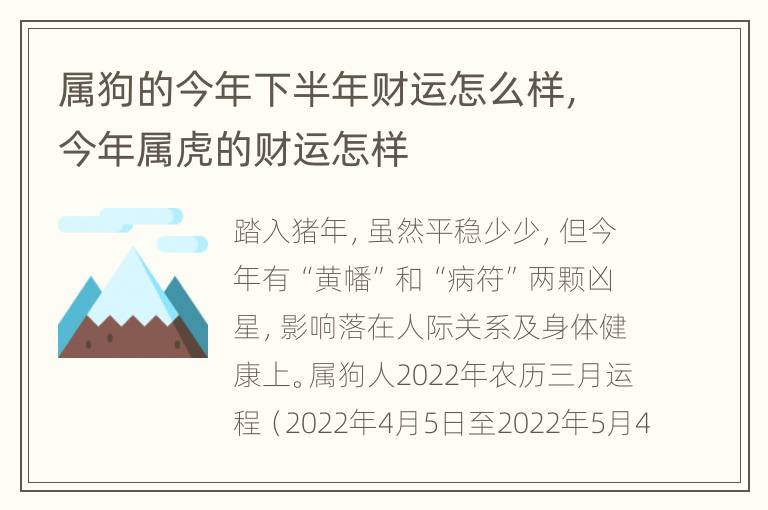 属狗的今年下半年财运怎么样，今年属虎的财运怎样