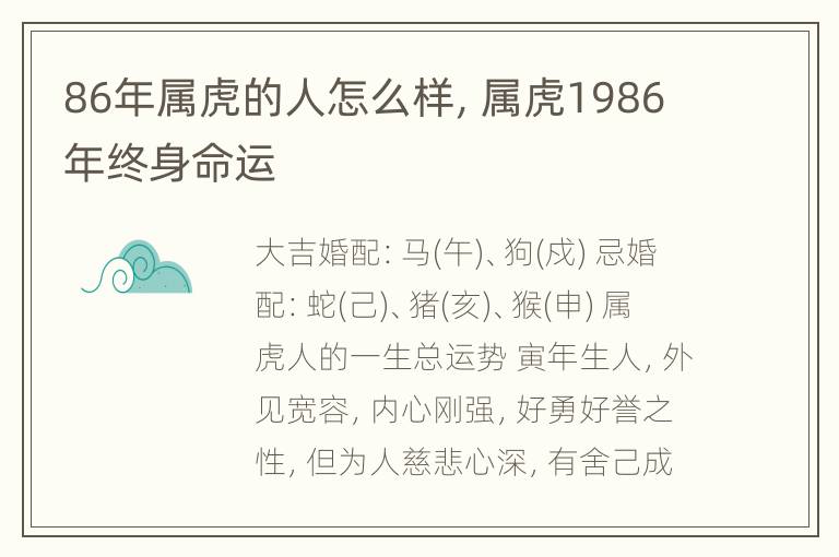 86年属虎的人怎么样，属虎1986年终身命运