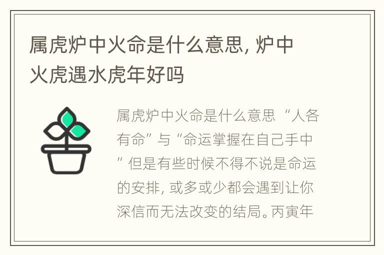 属虎炉中火命是什么意思，炉中火虎遇水虎年好吗