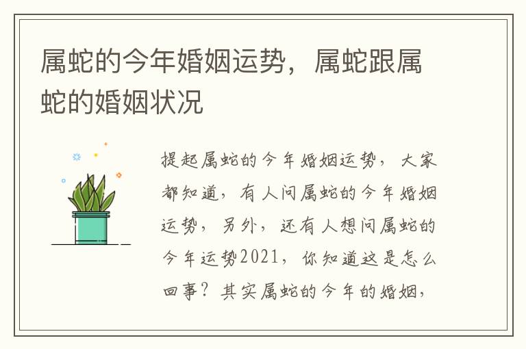 属蛇的今年婚姻运势，属蛇跟属蛇的婚姻状况