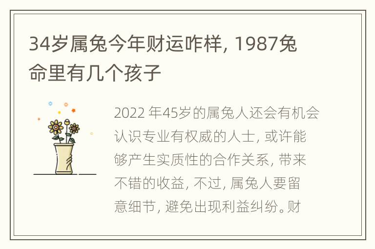 34岁属兔今年财运咋样，1987兔命里有几个孩子