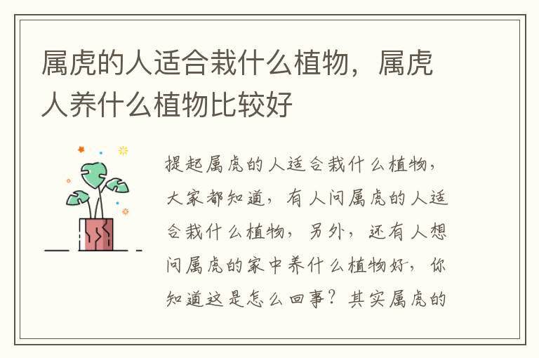 属虎的人适合栽什么植物，属虎人养什么植物比较好