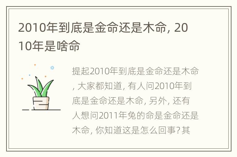 2010年到底是金命还是木命，2010年是啥命