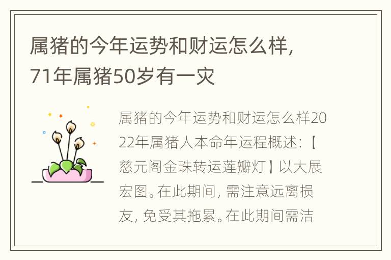 属猪的今年运势和财运怎么样，71年属猪50岁有一灾