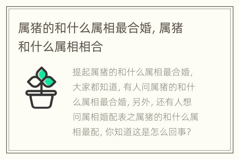 属猪的和什么属相最合婚，属猪和什么属相相合