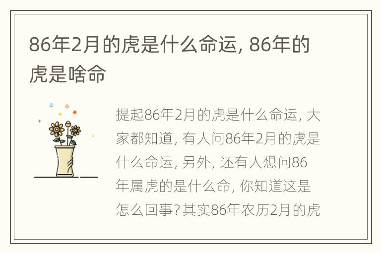 86年2月的虎是什么命运，86年的虎是啥命