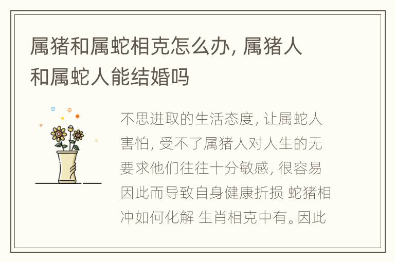 属猪和属蛇相克怎么办，属猪人和属蛇人能结婚吗