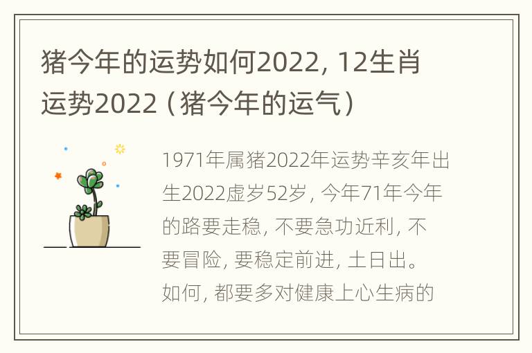 猪今年的运势如何2022，12生肖运势2022（猪今年的运气）