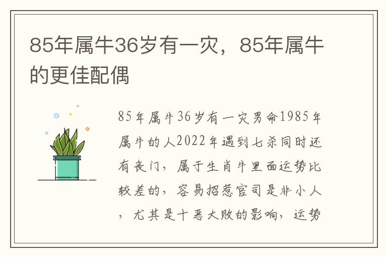 85年属牛36岁有一灾，85年属牛的更佳配偶