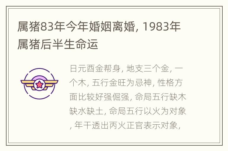 属猪83年今年婚姻离婚，1983年属猪后半生命运