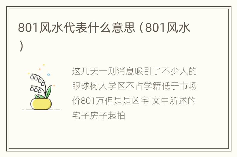 801风水代表什么意思（801风水）