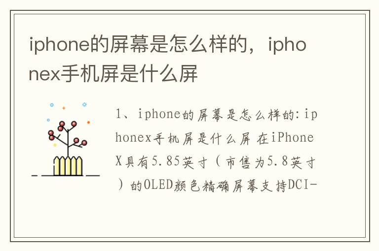 iphone的屏幕是怎么样的，iphonex手机屏是什么屏