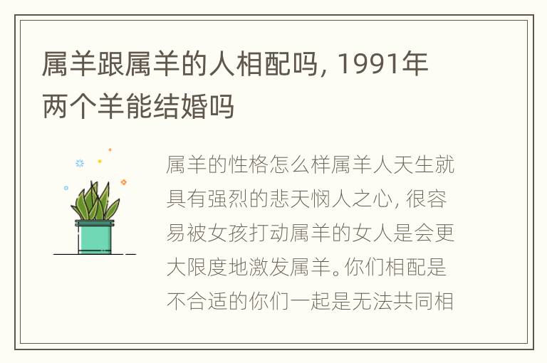 属羊跟属羊的人相配吗，1991年两个羊能结婚吗