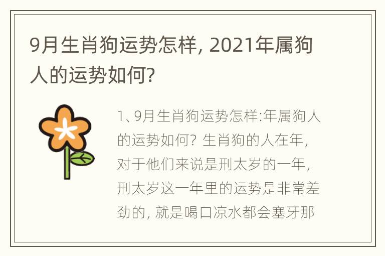 9月生肖狗运势怎样，2021年属狗人的运势如何？