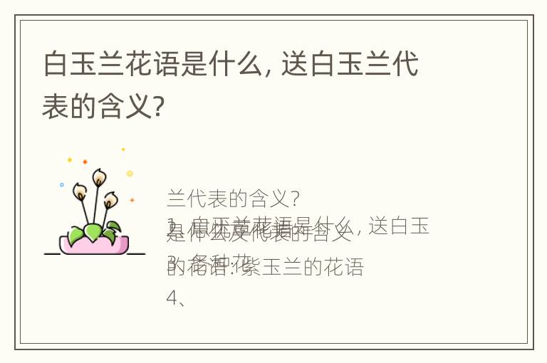 白玉兰花语是什么，送白玉兰代表的含义？