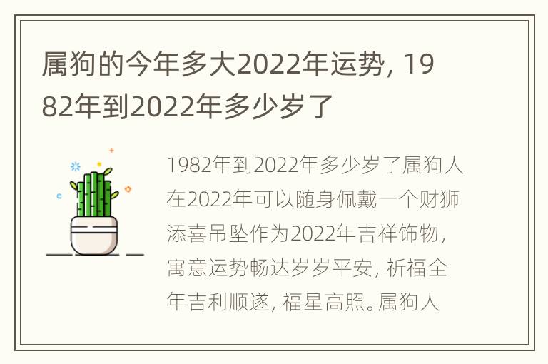 属狗的今年多大2022年运势，1982年到2022年多少岁了