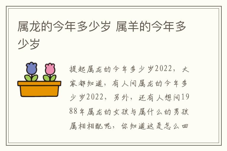 属龙的今年多少岁 属羊的今年多少岁