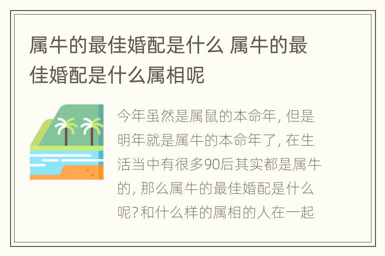 属牛的最佳婚配是什么 属牛的最佳婚配是什么属相呢