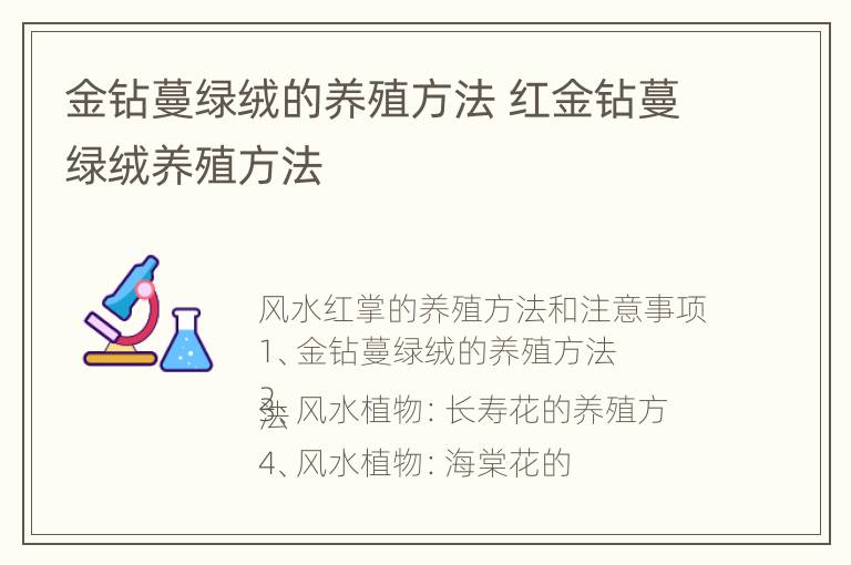 金钻蔓绿绒的养殖方法 红金钻蔓绿绒养殖方法