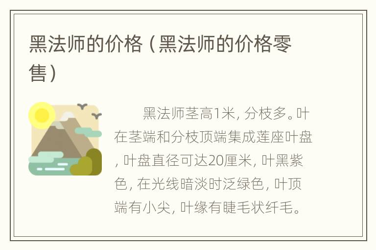 黑法师的价格（黑法师的价格零售）